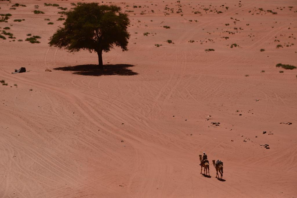 Wadi Rum Sleep Under The Stars מראה חיצוני תמונה